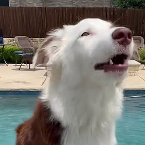 Meet your Posher, Brad